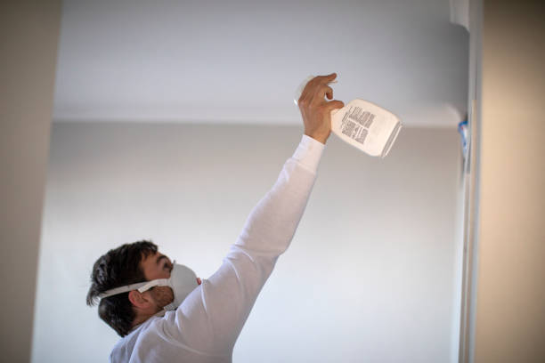 Best Mold Testing  in Merrionette Park, IL