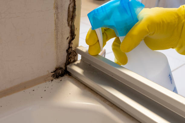 Best Mold Testing  in Merrionette Park, IL
