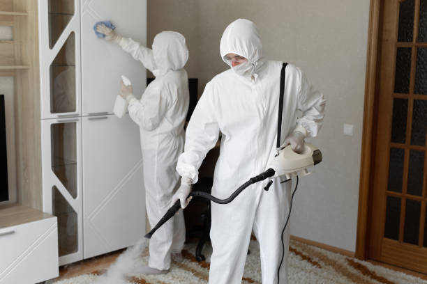 Certified Mold Removal in Merrionette Park, IL